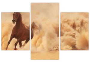 Cválajúci kôň - obraz (Obraz 90x60cm)