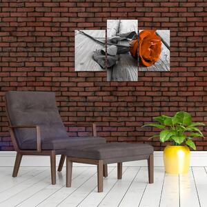 Ruže oranžová - obraz (Obraz 90x60cm)