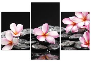 Kvety - obraz (Obraz 90x60cm)