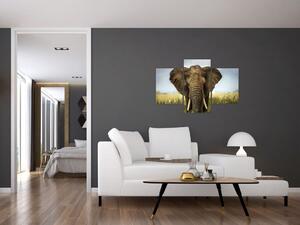Slon - obraz (Obraz 90x60cm)