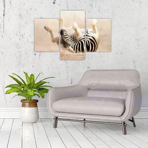 Obraz zebry (Obraz 90x60cm)