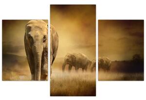 Obraz slona (Obraz 90x60cm)