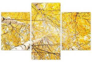 Jesenné lístie - moderný obraz (Obraz 90x60cm)