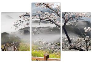 Sakura - obraz (Obraz 90x60cm)
