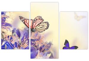 Motýle - obraz (Obraz 90x60cm)