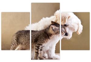 Mačiatko a šteňa - obraz (Obraz 90x60cm)