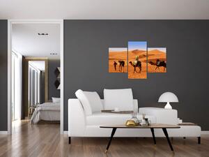 Ťavy v púšti - obraz (Obraz 90x60cm)