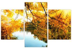 Jesenná krajina - obraz (Obraz 90x60cm)