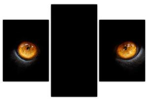 Zvieracie oči - obraz (Obraz 90x60cm)