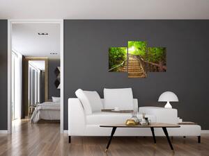 Schody v lese - obraz (Obraz 90x60cm)