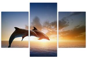 Delfíny - obraz (Obraz 90x60cm)