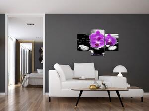 Obraz orchideí (Obraz 90x60cm)