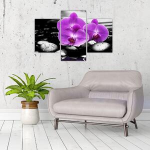 Obraz orchideí (Obraz 90x60cm)