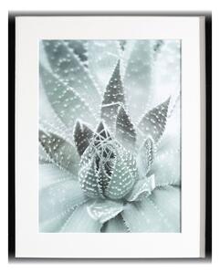 Obraz Succulents III 40x50xcm