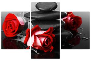 Obraz ruží (Obraz 90x60cm)