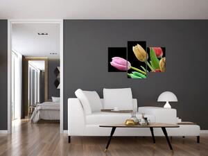 Tulipány - obraz (Obraz 90x60cm)