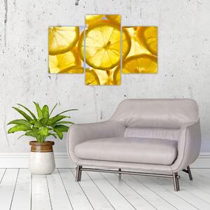 Plátky citrónov - obraz (Obraz 90x60cm)