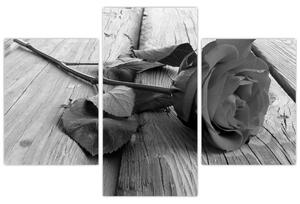 Obraz čiernobiele ruže (Obraz 90x60cm)
