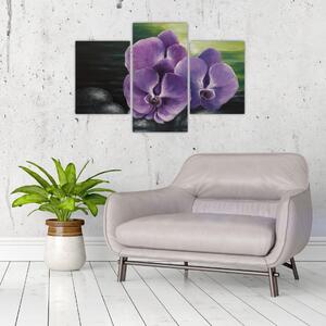 Obraz kvetov orchidey (Obraz 90x60cm)