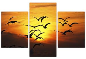 Obraz letiacich vtákov (Obraz 90x60cm)