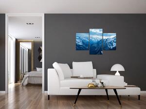 Panoráma hôr v zime - obraz (Obraz 90x60cm)