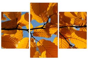 Jesenné lístie - obraz (Obraz 90x60cm)