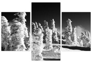 Obraz - zimné hory (Obraz 90x60cm)