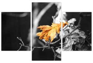 Obraz - prichádzajúce jeseň (Obraz 90x60cm)