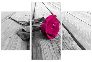 Obrazy kvetov - ruža (Obraz 90x60cm)