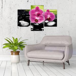 Fotka orchidey (Obraz 90x60cm)