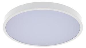 Rabalux 71427 - LED Kúpeľňové stropné svietidlo ALENZO LED/24W/230V IP44 biela