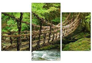 Obraz - most v prírode (Obraz 90x60cm)