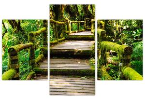 Schody v záhrade - obraz (Obraz 90x60cm)