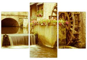 Vodné koleso - obraz (Obraz 90x60cm)