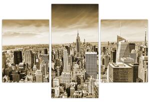Panorama New York, obraz (Obraz 90x60cm)