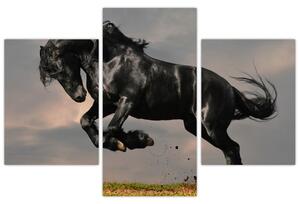 Čierny kôň, obraz (Obraz 90x60cm)