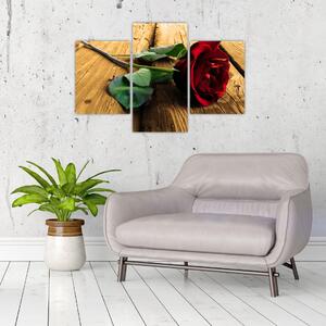 Ležiaci ruža - obraz (Obraz 90x60cm)
