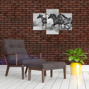Obraz cválajúci koňov (Obraz 90x60cm)