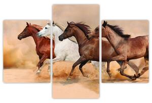 Obraz kôň (Obraz 90x60cm)