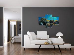 Obraz podmorského sveta (Obraz 90x60cm)