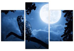 Nočná príroda, obrazy (Obraz 90x60cm)