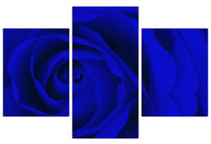 Detail modré ruže - obraz (Obraz 90x60cm)