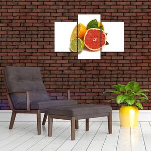 Citrusové plody - obraz (Obraz 90x60cm)