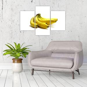 Banány - obraz (Obraz 90x60cm)