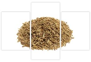 Pšenica, obraz (Obraz 90x60cm)