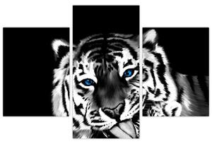 Obraz tigra s mláďaťom (Obraz 90x60cm)
