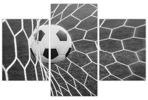 Futbalová lopta v sieti - obraz (Obraz 90x60cm)
