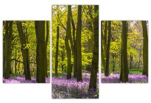 Obraz lesa (Obraz 90x60cm)