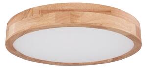 STROPNÉ LED SVIETIDLO, 40/10,5 cm - Interiérové svietidlá