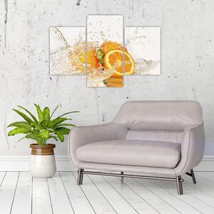 Pomaranče - obraz (Obraz 90x60cm)